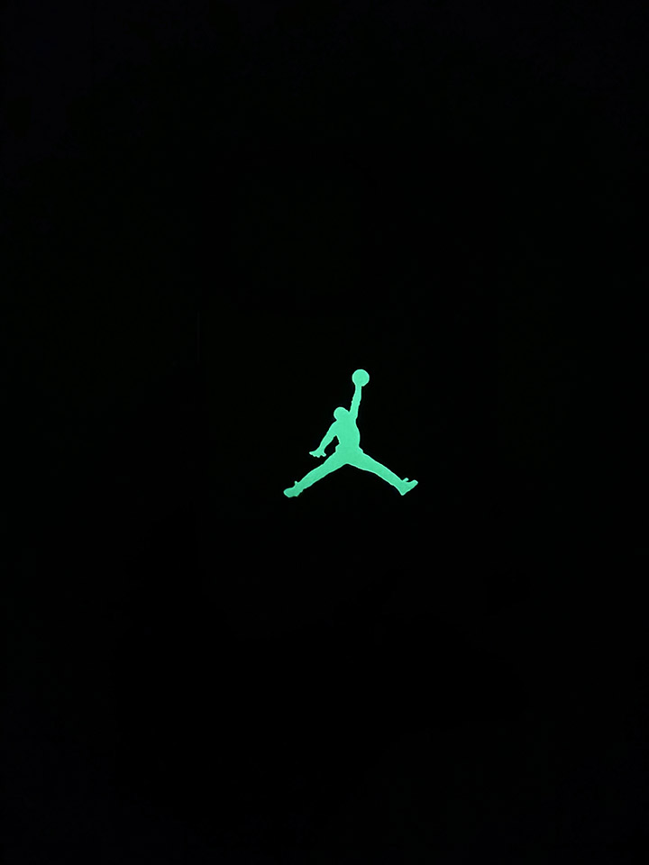 iphone14promax 携帯ケース air jordan風 